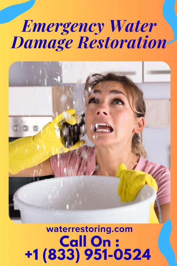 Emergency Water Damage Restoration in Charleston View, CA